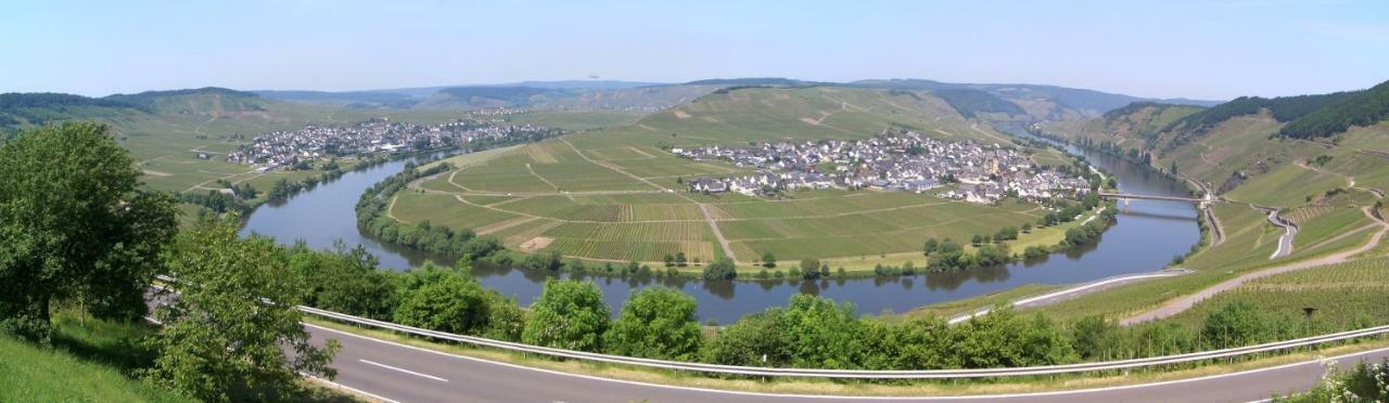Galerie Riesling Hotell Trittenheim Eksteriør bilde
